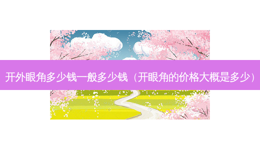 开外眼角多少钱一般多少钱(开眼角的价格大概是多少)-第1张图片-美呗严选网 开外眼角多少钱一般多少钱(开眼角的价格大概是多少)-第1张图片-美呗严选网