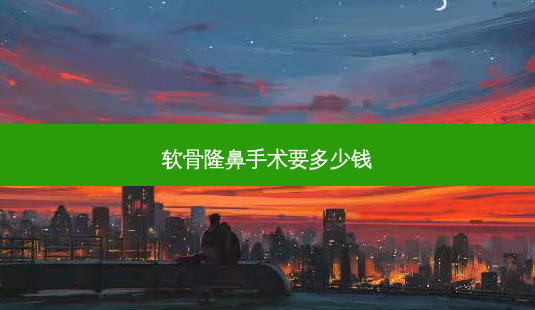 软骨隆鼻手术要多少钱-第1张图片-美呗严选网 软骨隆鼻手术要多少钱-第1张图片-美呗严选网