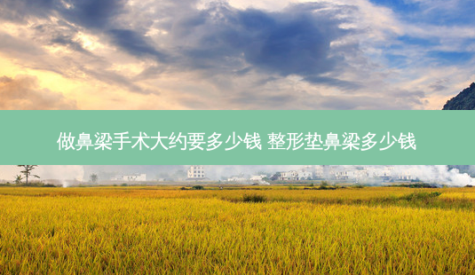 做鼻梁手术大约要多少钱 整形垫鼻梁多少钱-第1张图片-美呗严选网 做鼻梁手术大约要多少钱 整形垫鼻梁多少钱-第1张图片-美呗严选网