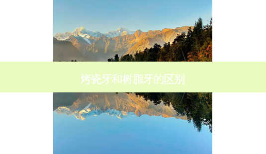 烤瓷牙和树脂牙的区别-第1张图片-美呗严选网 烤瓷牙和树脂牙的区别-第1张图片-美呗严选网