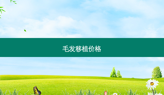 毛发移植价格-第1张图片-美呗严选网 毛发移植价格-第1张图片-美呗严选网
