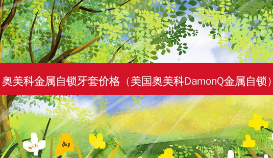 奥美科金属自锁牙套价格（美国奥美科DamonQ金属自锁）-第1张图片-美呗严选网