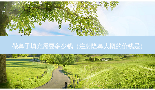 做鼻子填充需要多少钱(注射隆鼻大概的价钱是)-第1张图片-美呗严选网 做鼻子填充需要多少钱(注射隆鼻大概的价钱是)-第1张图片-美呗严选网