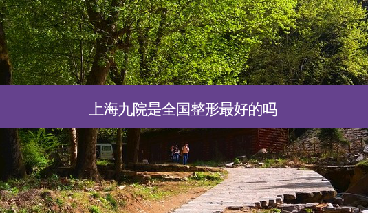 上海九院是全国整形好的吗-第1张图片-美呗严选网 上海九院是全国整形好的吗-第1张图片-美呗严选网