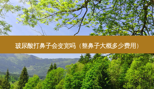 玻尿酸打鼻子会变宽吗(整鼻子大概多少费用)-第1张图片-美呗严选网 玻尿酸打鼻子会变宽吗(整鼻子大概多少费用)-第1张图片-美呗严选网