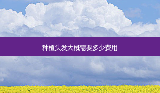 种植头发大概需要多少费用-第1张图片-美呗严选网 种植头发大概需要多少费用-第1张图片-美呗严选网