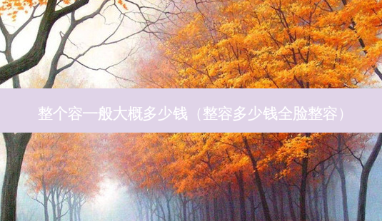 整个容一般大概多少钱(整容多少钱全脸整容)-第1张图片-美呗严选网 整个容一般大概多少钱(整容多少钱全脸整容)-第1张图片-美呗严选网