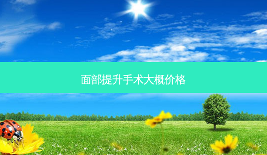 面部提升手术大概价格-第1张图片-美呗严选网 面部提升手术大概价格-第1张图片-美呗严选网