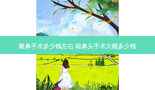 隆鼻手术多少钱左右 缩鼻头手术大概多少钱-第1张图片-美呗严选网 隆鼻手术多少钱左右 缩鼻头手术大概多少钱-第1张图片-美呗严选网
