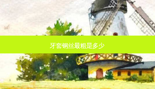 牙套钢丝粗是多少-第1张图片-美呗严选网 牙套钢丝粗是多少-第1张图片-美呗严选网