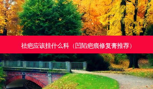 祛疤应该挂什么科(凹陷疤痕修复膏推荐)-第1张图片-美呗严选网 祛疤应该挂什么科(凹陷疤痕修复膏推荐)-第1张图片-美呗严选网