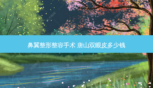 鼻翼整形整容手术 唐山双眼皮多少钱-第1张图片-美呗严选网 鼻翼整形整容手术 唐山双眼皮多少钱-第1张图片-美呗严选网
