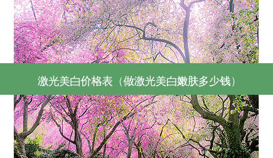 激光美白价格表(做激光美 *** 肤多少钱)-第1张图片-美呗严选网 激光美白价格表(做激光美 *** 肤多少钱)-第1张图片-美呗严选网