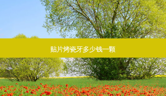 贴片烤瓷牙多少钱一颗-第1张图片-美呗严选网 贴片烤瓷牙多少钱一颗-第1张图片-美呗严选网