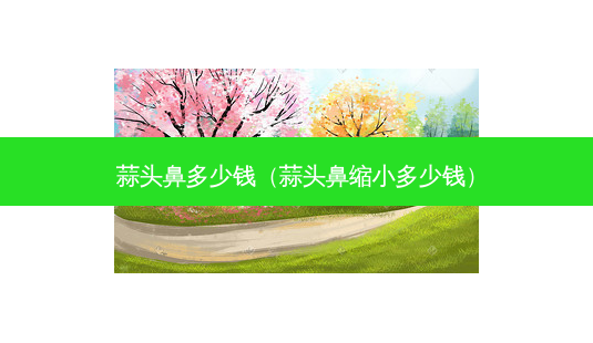 蒜头鼻多少钱(蒜头鼻缩小多少钱)-第1张图片-美呗严选网 蒜头鼻多少钱(蒜头鼻缩小多少钱)-第1张图片-美呗严选网
