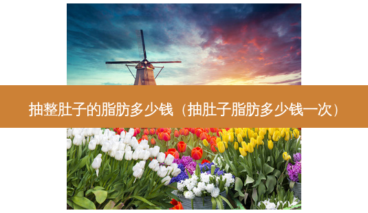 抽整肚子的脂肪多少钱(抽肚子脂肪多少钱一次)-第1张图片-美呗严选网 抽整肚子的脂肪多少钱(抽肚子脂肪多少钱一次)-第1张图片-美呗严选网