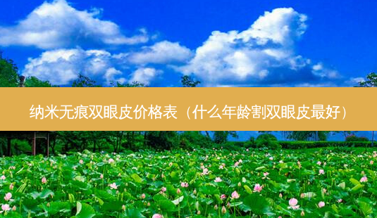 纳米无痕双眼皮价格表(什么年龄割双眼皮好)-第1张图片-美呗严选网 纳米无痕双眼皮价格表(什么年龄割双眼皮好)-第1张图片-美呗严选网