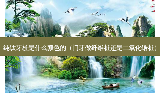 纯钛牙桩是什么颜色的(门牙做纤维桩还是二氧化锆桩)-第1张图片-美呗严选网 纯钛牙桩是什么颜色的(门牙做纤维桩还是二氧化锆桩)-第1张图片-美呗严选网