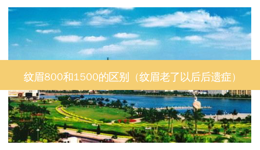 纹眉800和1500的区别(纹眉老了以后后遗症)-第1张图片-美呗严选网 纹眉800和1500的区别(纹眉老了以后后遗症)-第1张图片-美呗严选网