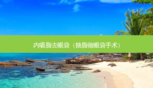 内吸脂去眼袋(抽脂做眼袋手术)-第1张图片-美呗严选网 内吸脂去眼袋(抽脂做眼袋手术)-第1张图片-美呗严选网
