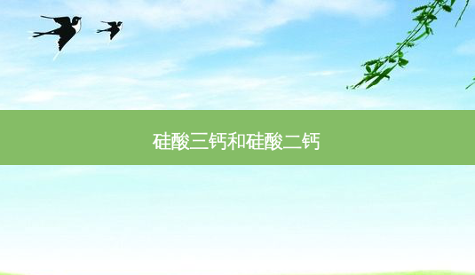 硅酸三钙和硅酸二钙-第1张图片-美呗严选网 硅酸三钙和硅酸二钙-第1张图片-美呗严选网
