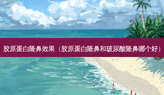 胶原蛋白隆鼻效果(胶原蛋白隆鼻和玻尿酸隆鼻哪个好)-第1张图片-美呗严选网 胶原蛋白隆鼻效果(胶原蛋白隆鼻和玻尿酸隆鼻哪个好)-第1张图片-美呗严选网