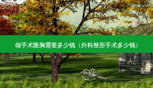 做手术隆胸需要多少钱(外科整形手术多少钱)-第1张图片-美呗严选网 做手术隆胸需要多少钱(外科整形手术多少钱)-第1张图片-美呗严选网