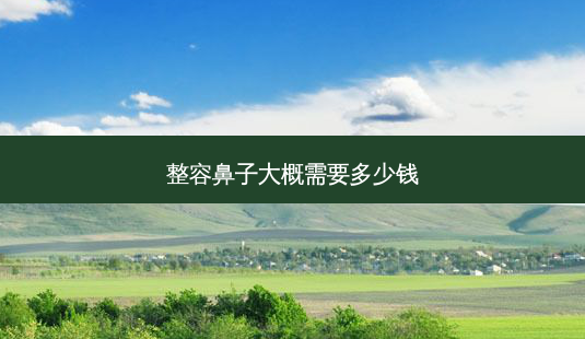 整容鼻子大概需要多少钱-第1张图片-美呗严选网 整容鼻子大概需要多少钱-第1张图片-美呗严选网