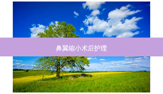 鼻翼缩小术后护理-第1张图片-美呗严选网 鼻翼缩小术后护理-第1张图片-美呗严选网