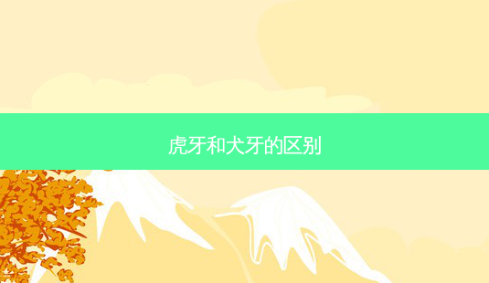 虎牙和犬牙的区别-第1张图片-美呗严选网 虎牙和犬牙的区别-第1张图片-美呗严选网
