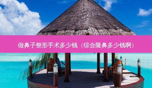做鼻子整形手术多少钱(综合隆鼻多少钱啊)-第1张图片-美呗严选网 做鼻子整形手术多少钱(综合隆鼻多少钱啊)-第1张图片-美呗严选网