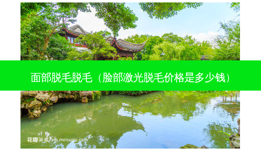 面部脱毛脱毛(脸部激光脱毛价格是多少钱)-第1张图片-美呗严选网 面部脱毛脱毛(脸部激光脱毛价格是多少钱)-第1张图片-美呗严选网