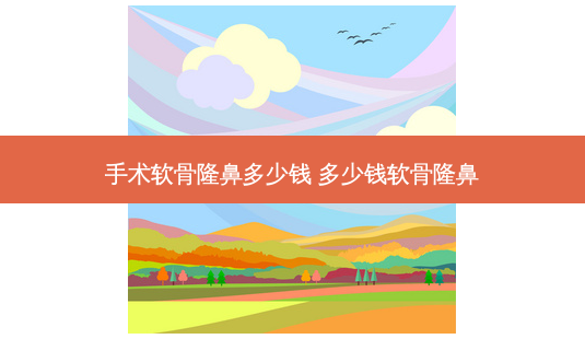 手术软骨隆鼻多少钱 多少钱软骨隆鼻-第1张图片-美呗严选网 手术软骨隆鼻多少钱 多少钱软骨隆鼻-第1张图片-美呗严选网