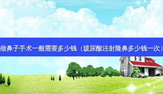 做鼻子手术一般需要多少钱(玻尿酸注射隆鼻多少钱一次)-第1张图片-美呗严选网 做鼻子手术一般需要多少钱(玻尿酸注射隆鼻多少钱一次)-第1张图片-美呗严选网