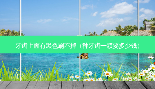 牙齿上面有黑色刷不掉(种牙齿一颗要多少钱)-第1张图片-美呗严选网 牙齿上面有黑色刷不掉(种牙齿一颗要多少钱)-第1张图片-美呗严选网