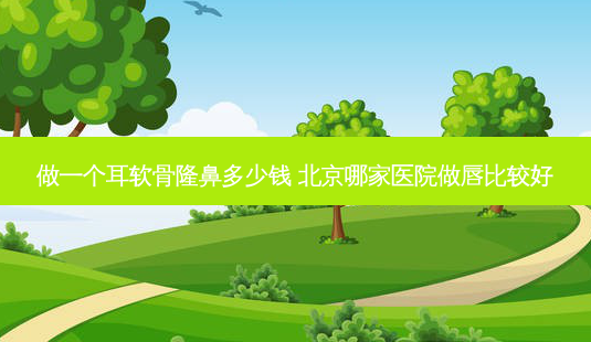 做一个耳软骨隆鼻多少钱 北京哪家医院做唇比较好-第1张图片-美呗严选网 做一个耳软骨隆鼻多少钱 北京哪家医院做唇比较好-第1张图片-美呗严选网