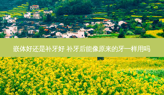 嵌体好还是补牙好 补牙后能像原来的牙一样用吗-第1张图片-美呗严选网 嵌体好还是补牙好 补牙后能像原来的牙一样用吗-第1张图片-美呗严选网
