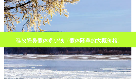 硅胶隆鼻假体多少钱(假体隆鼻的大概价格)-第1张图片-美呗严选网 硅胶隆鼻假体多少钱(假体隆鼻的大概价格)-第1张图片-美呗严选网