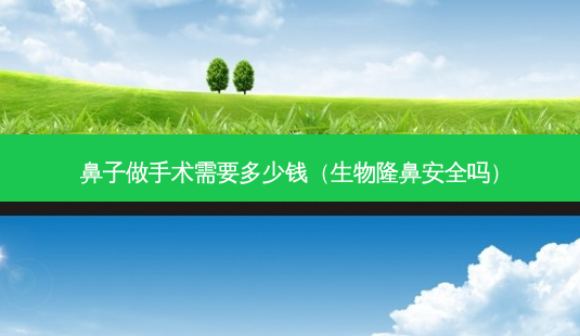 鼻子做手术需要多少钱(生物隆鼻 *** 吗)-第1张图片-美呗严选网 鼻子做手术需要多少钱(生物隆鼻 *** 吗)-第1张图片-美呗严选网
