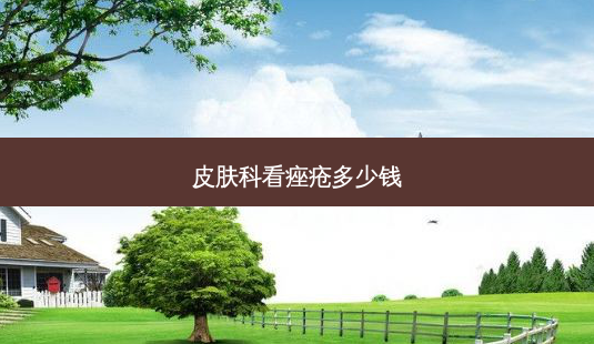 皮肤科看痤疮多少钱-第1张图片-美呗严选网 皮肤科看痤疮多少钱-第1张图片-美呗严选网