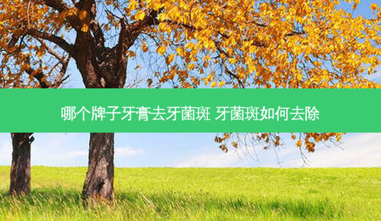 哪个牌子牙膏去牙菌斑 牙菌斑如何去除-第1张图片-美呗严选网 哪个牌子牙膏去牙菌斑 牙菌斑如何去除-第1张图片-美呗严选网