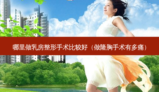 哪里做 *** 整形手术比较好(做隆胸手术有多痛)-第1张图片-美呗严选网 哪里做 *** 整形手术比较好(做隆胸手术有多痛)-第1张图片-美呗严选网