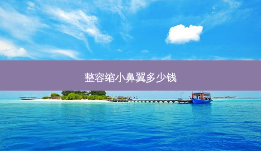 整容缩小鼻翼多少钱-第1张图片-美呗严选网 整容缩小鼻翼多少钱-第1张图片-美呗严选网