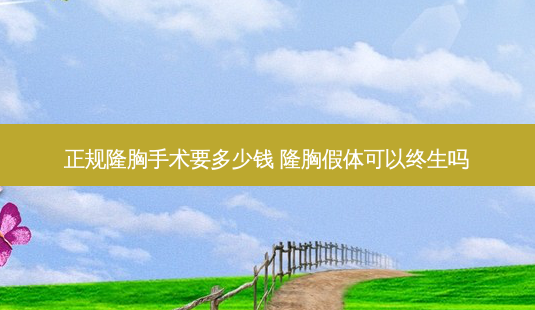 正规隆胸手术要多少钱 隆胸假体可以终生吗-第1张图片-美呗严选网 正规隆胸手术要多少钱 隆胸假体可以终生吗-第1张图片-美呗严选网