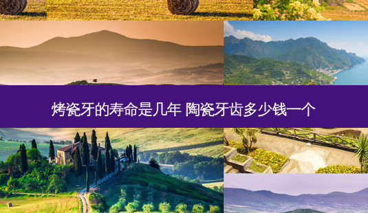 烤瓷牙的寿命是几年 陶瓷牙齿多少钱一个-第1张图片-美呗严选网 烤瓷牙的寿命是几年 陶瓷牙齿多少钱一个-第1张图片-美呗严选网