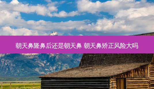 朝天鼻隆鼻后还是朝天鼻 朝天鼻矫正风险大吗-第1张图片-美呗严选网 朝天鼻隆鼻后还是朝天鼻 朝天鼻矫正风险大吗-第1张图片-美呗严选网