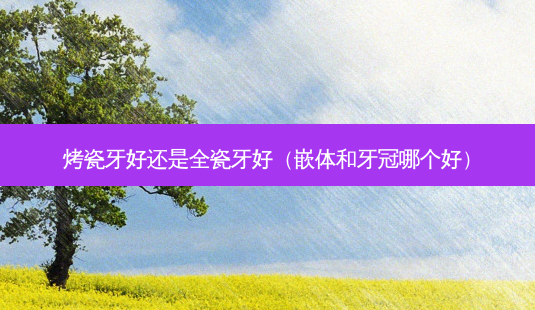 烤瓷牙好还是全瓷牙好(嵌体和牙冠哪个好)-第1张图片-美呗严选网 烤瓷牙好还是全瓷牙好(嵌体和牙冠哪个好)-第1张图片-美呗严选网
