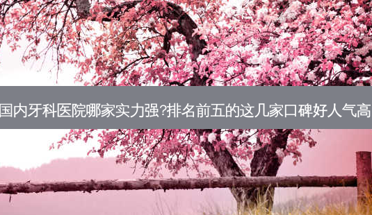 国内牙科医院哪家实力强?排名前五的这几家口碑好人气高!-第1张图片-美呗严选网 国内牙科医院哪家实力强?排名前五的这几家口碑好人气高!-第1张图片-美呗严选网