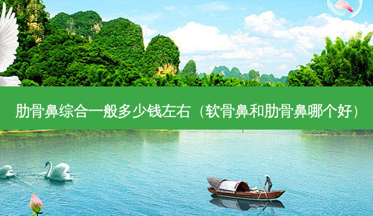 肋骨鼻综合一般多少钱左右(软骨鼻和肋骨鼻哪个好)-第1张图片-美呗严选网 肋骨鼻综合一般多少钱左右(软骨鼻和肋骨鼻哪个好)-第1张图片-美呗严选网