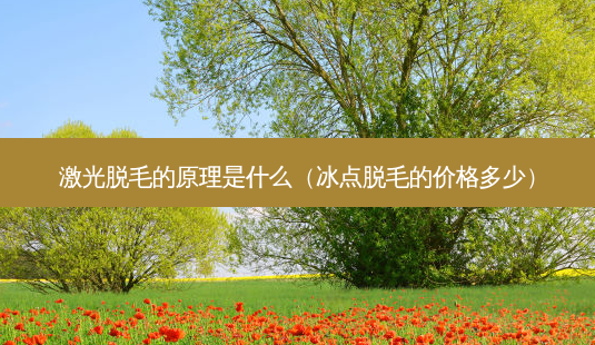 激光脱毛的原理是什么(冰点脱毛的价格多少)-第1张图片-美呗严选网 激光脱毛的原理是什么(冰点脱毛的价格多少)-第1张图片-美呗严选网